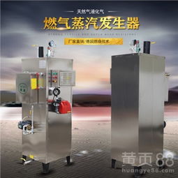 水洗廠專用設備立式天然氣蒸汽發(fā)生器