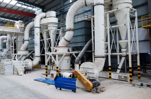 它經濟 觀察 中國貓砂展現 科技范 綠色風